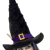 Smiffys Accessories Witch Or Wizard Hat With Twig