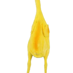 Bristol Novelty Rubber Chicken Easter