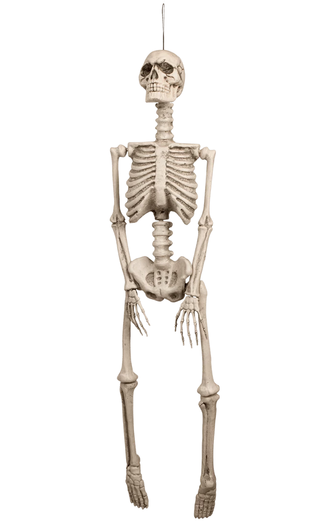 Boland Human Skeleton Decoration Accessories 1 Boland Human Skeleton Decoration Accessories