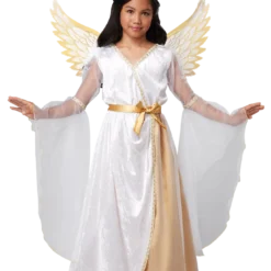 California Costumes Guardian Angel