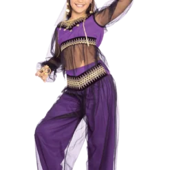 Rubies Child Harem Princess Costume All Girls Costumes