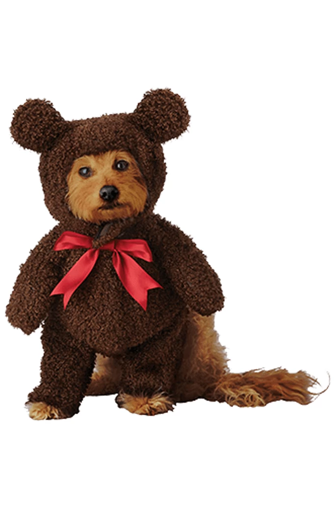 California Costumes Dog Costumes Teddy Bear 1 California Costumes Dog Costumes Teddy Bear