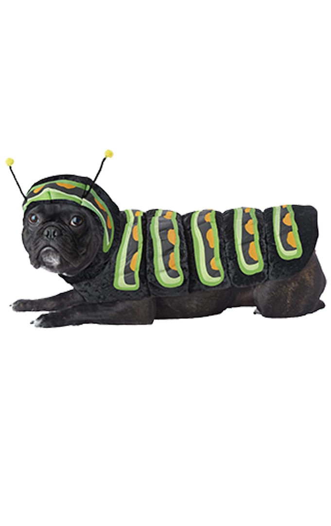 California Costumes Caterpillar All Themes 1 California Costumes Caterpillar All Themes