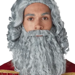 California Costumes Grey Biblical King Wig And Beard
