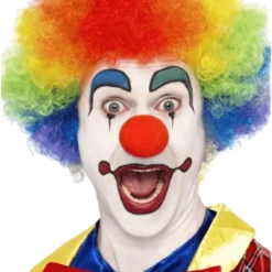Bristol Novelty Rainbow Clown Wig Accessory Accessories