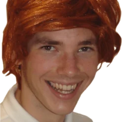 Bristol Novelty Ginger Tony Wig Accessories