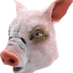 Bristol Novelty Pig Mask
