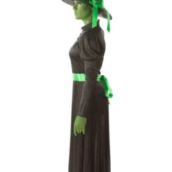 Orion Costumes All Womens Costumes Wicked Witch Outfit