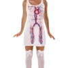 Orion Costumes Novelty Artery Dress Costume