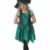 Rubies All Girls Costumes Child Green Spider Witch Costume