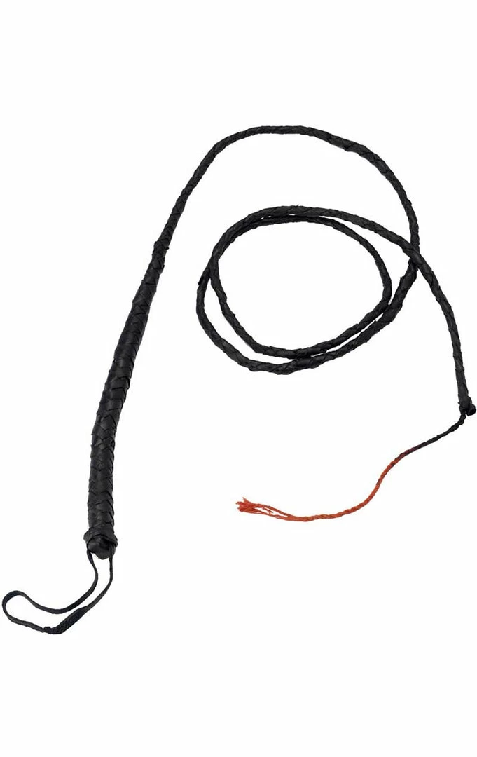 Palmer Long Bull Whip 1 Palmer Long Bull Whip