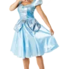 Rubies Adult Disney Cinderella Costume All Womens Costumes