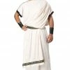 California Costumes Men's Deluxe Classic Toga