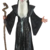 California Costumes Mystic Wizard Costume All Mens Costumes