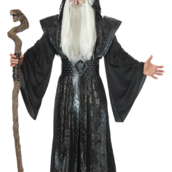 California Costumes Mystic Wizard Costume All Mens Costumes