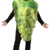 Rasta Imposta All Mens Costumes Get Real Grapes Green