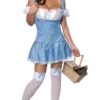 Rubies Dorothy Outfit