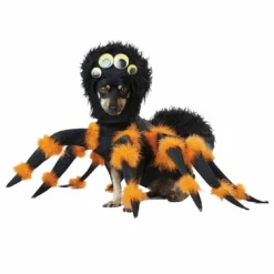 California Costumes Spider Dog Costume