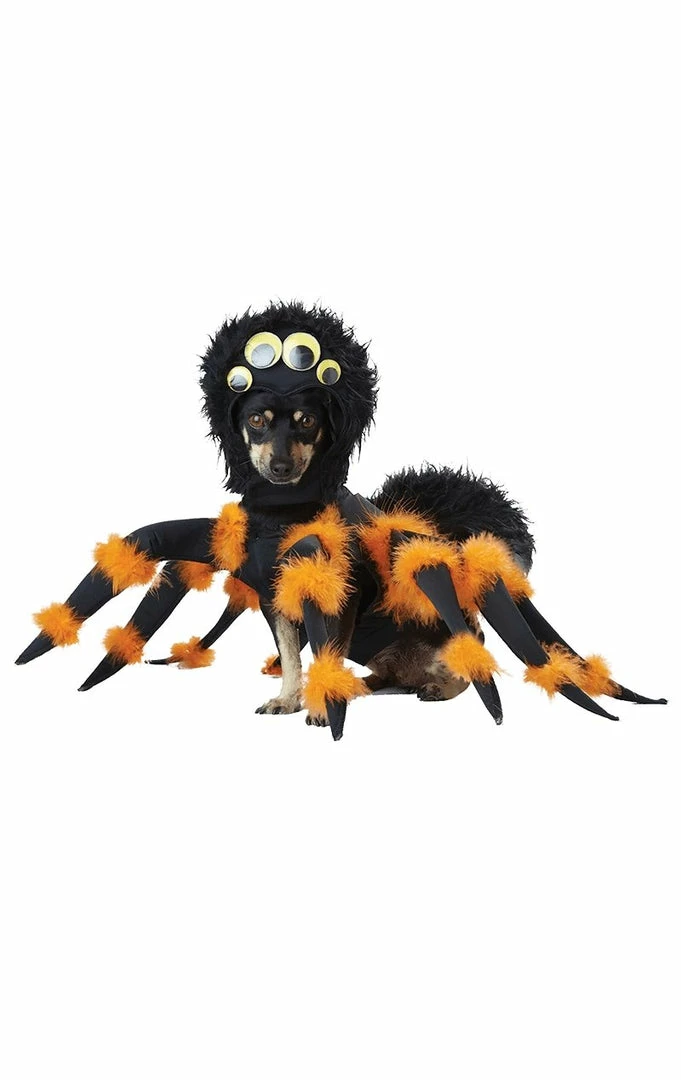 California Costumes Spider Dog Costume 1 California Costumes Spider Dog Costume